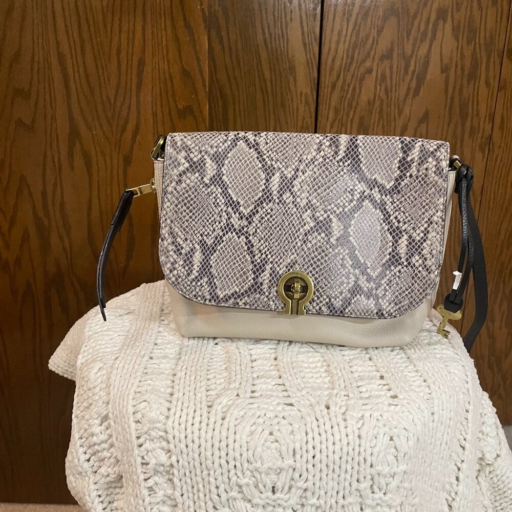 Fossil Cross Body Bag
